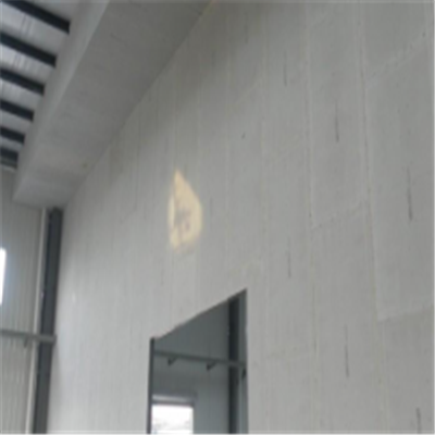 腾欣宁波ALC板|EPS加气板隔墙与混凝土整浇联接的实验研讨